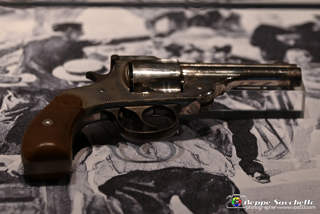 VBS_7403 - Mostra Margherita di Savoia Regina d'Italia.jpg